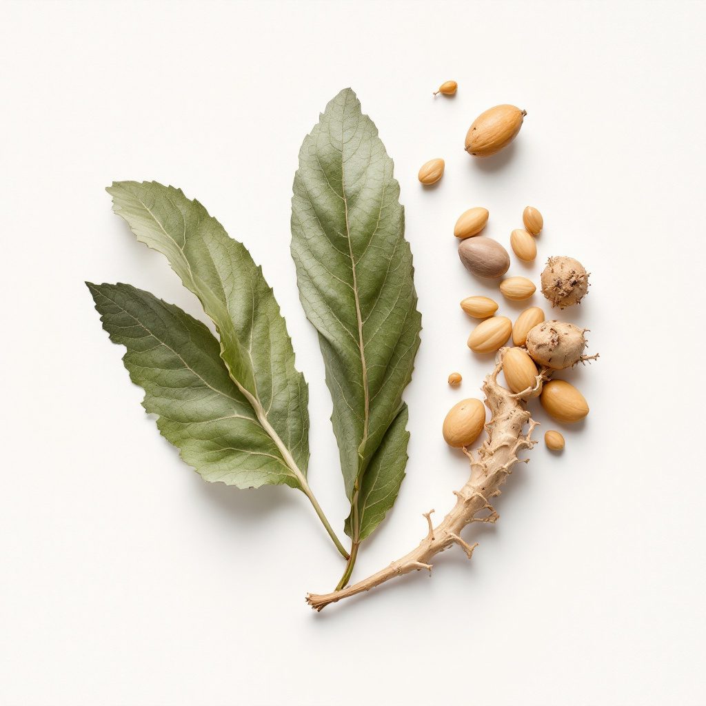 Хондроитин – съставка