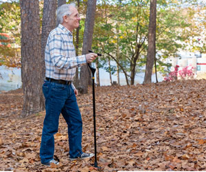 Wellpro Walking Stick a 1.222 CZK packshot