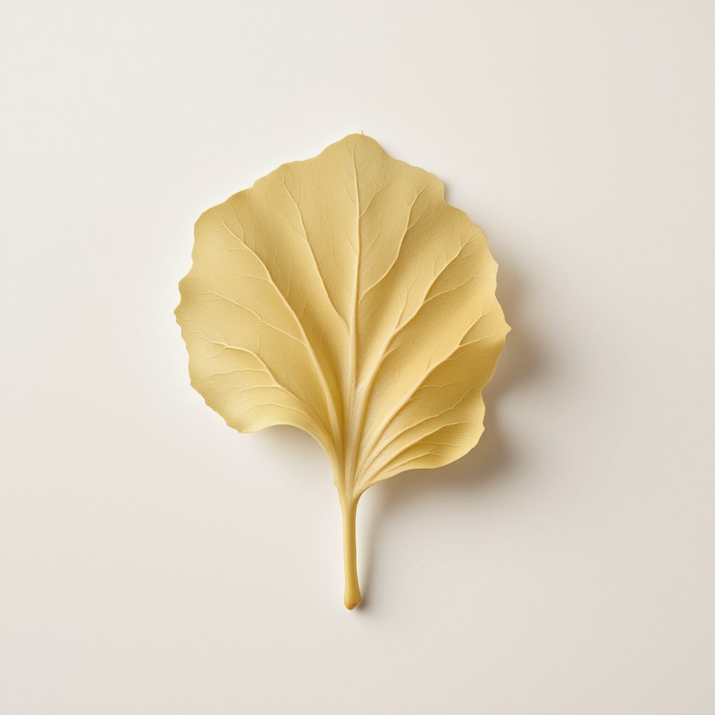 Ginkgo Biloba Blätter