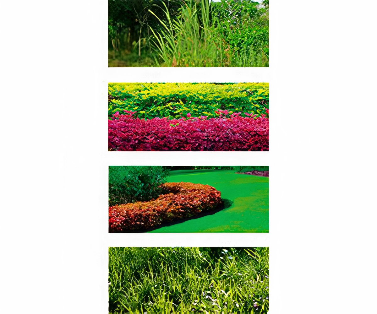 Fast Mower by Rotorazer a 79,99€ packshot