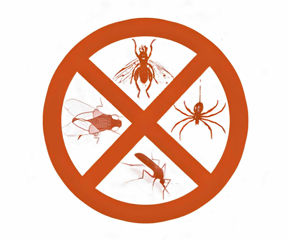 Insta Barrier a 39,99€ packshot