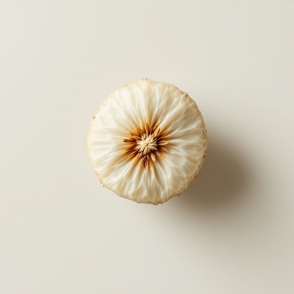 Extracto de arándano azul