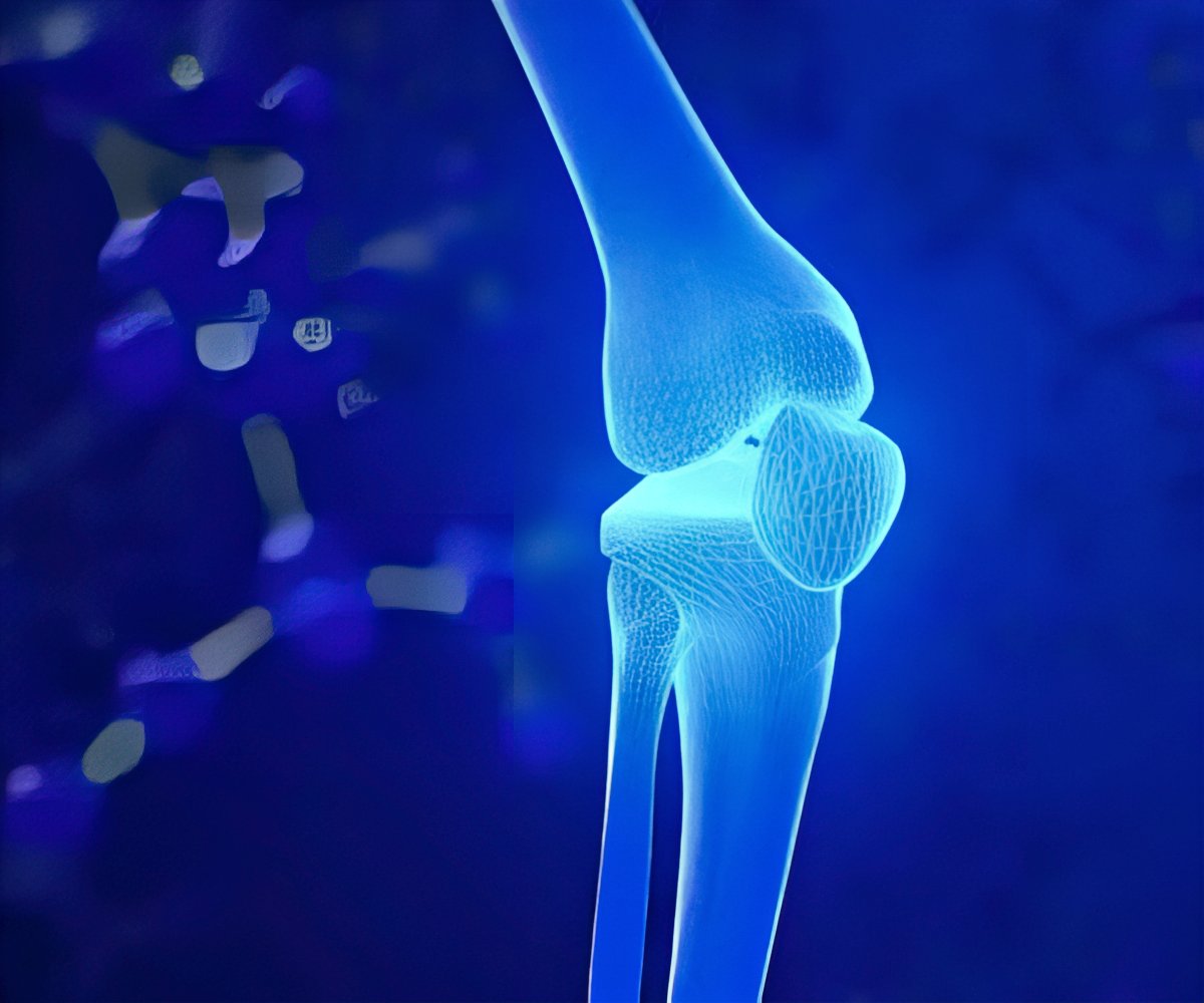 RXB Articulations x3 a 69,99€ packshot