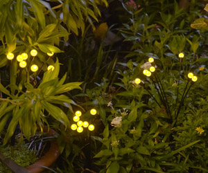 Starlyf Glow Lights 2x1 a 59,99€ packshot