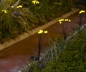 Starlyf Glow Lights 2x1 a 59,99€ packshot