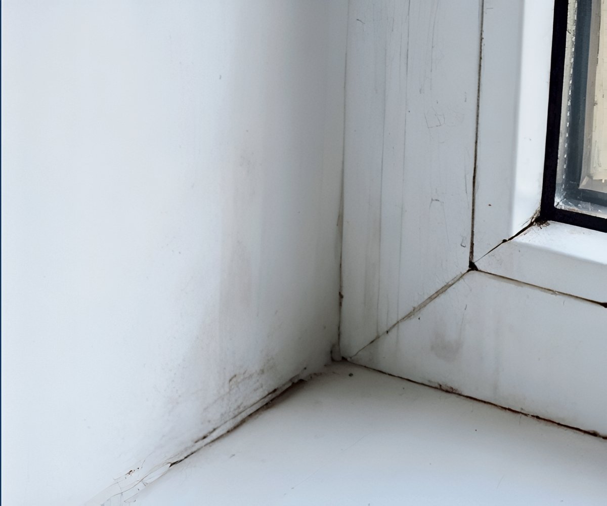 Starlyf Mold Erase 2x1 a 49,99€ packshot