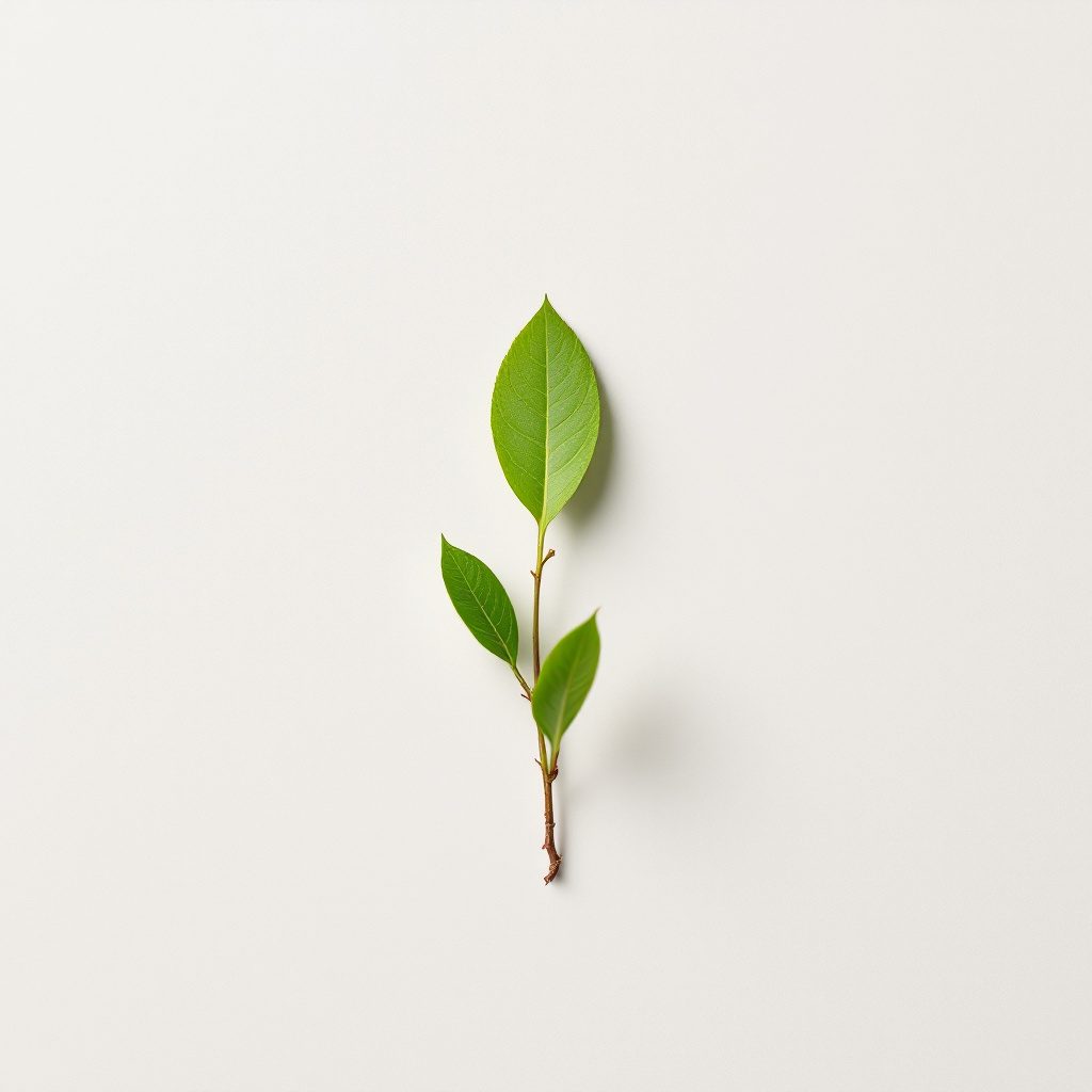 Βιταμίνες και μέταλλα