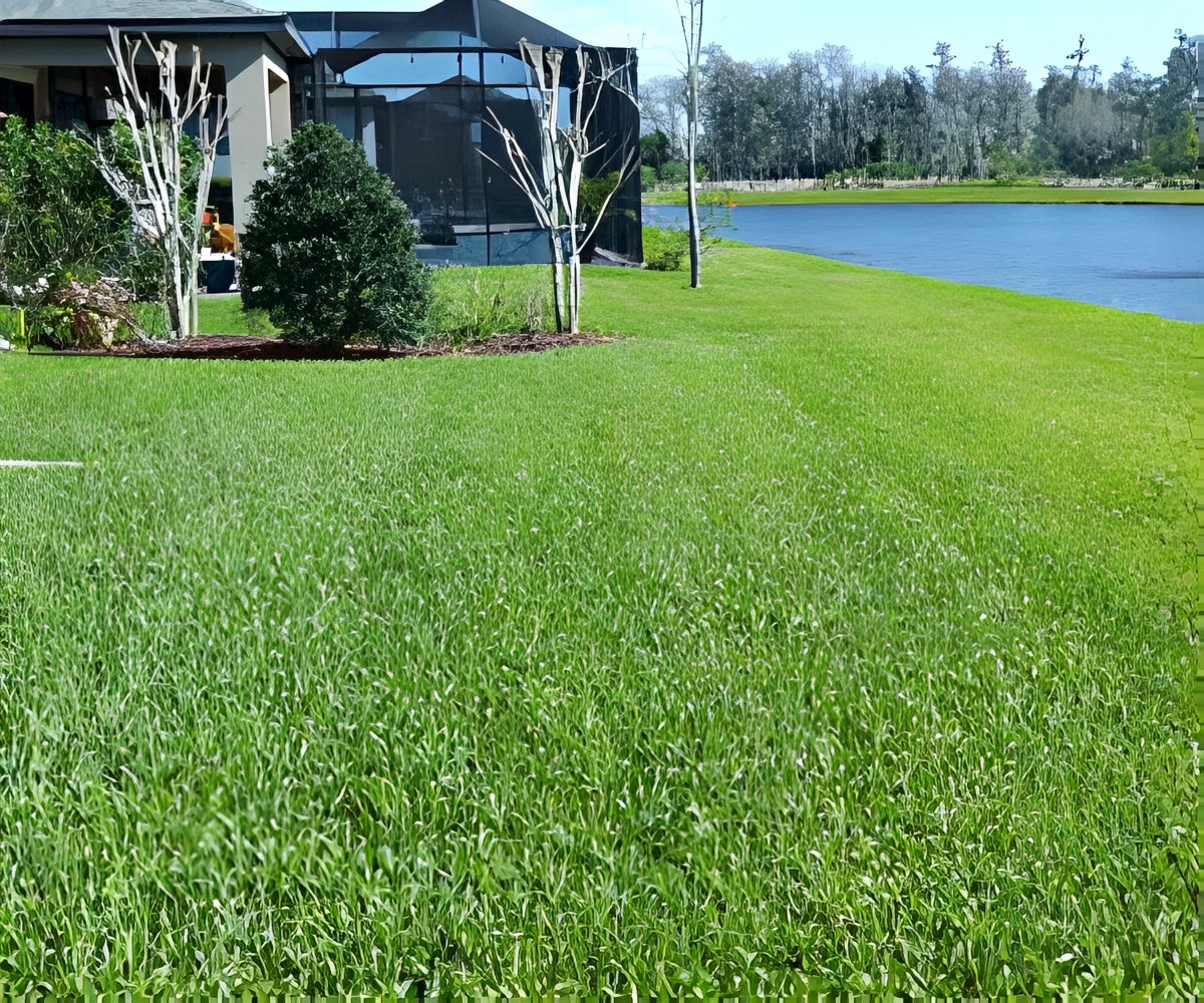 Grass Seed Mat a 23.888 HUF packshot