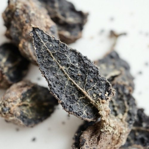 Cink ásványi anyag