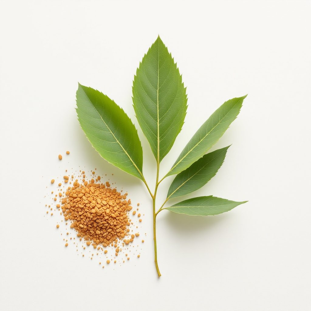 Ulei de arbore de ceai, frunze verzi aromatice