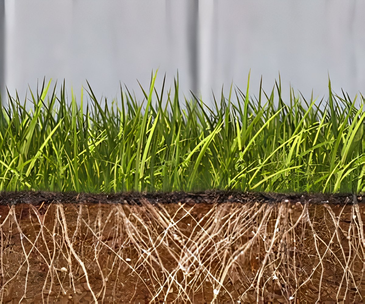 Grass Seed Mat a 298 LEU packshot