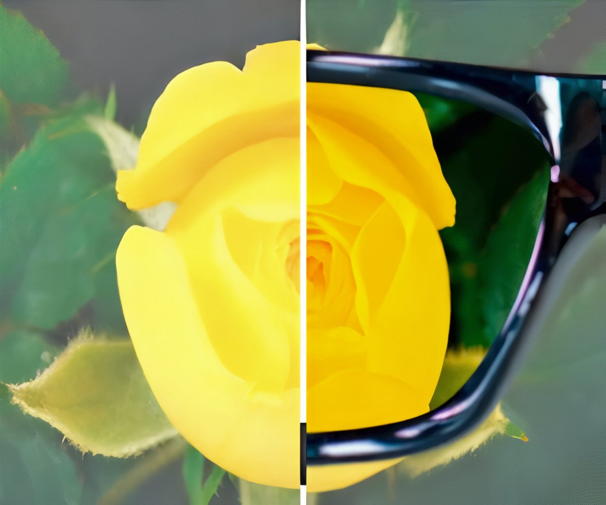 Polaryte Photochromic 2x1 a 298 LEU packshot