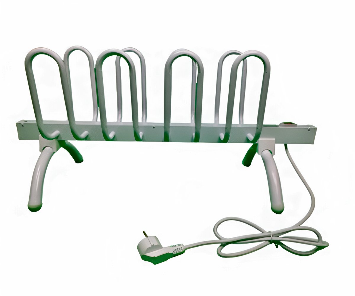 Shoes Dryer a 398 LEU packshot