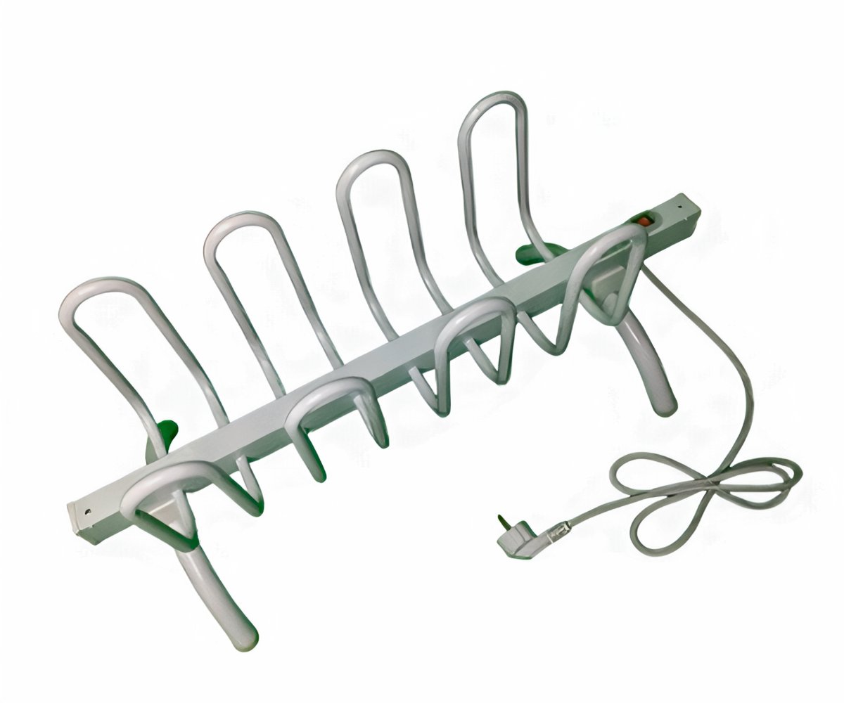 Shoes Dryer a 398 LEU packshot