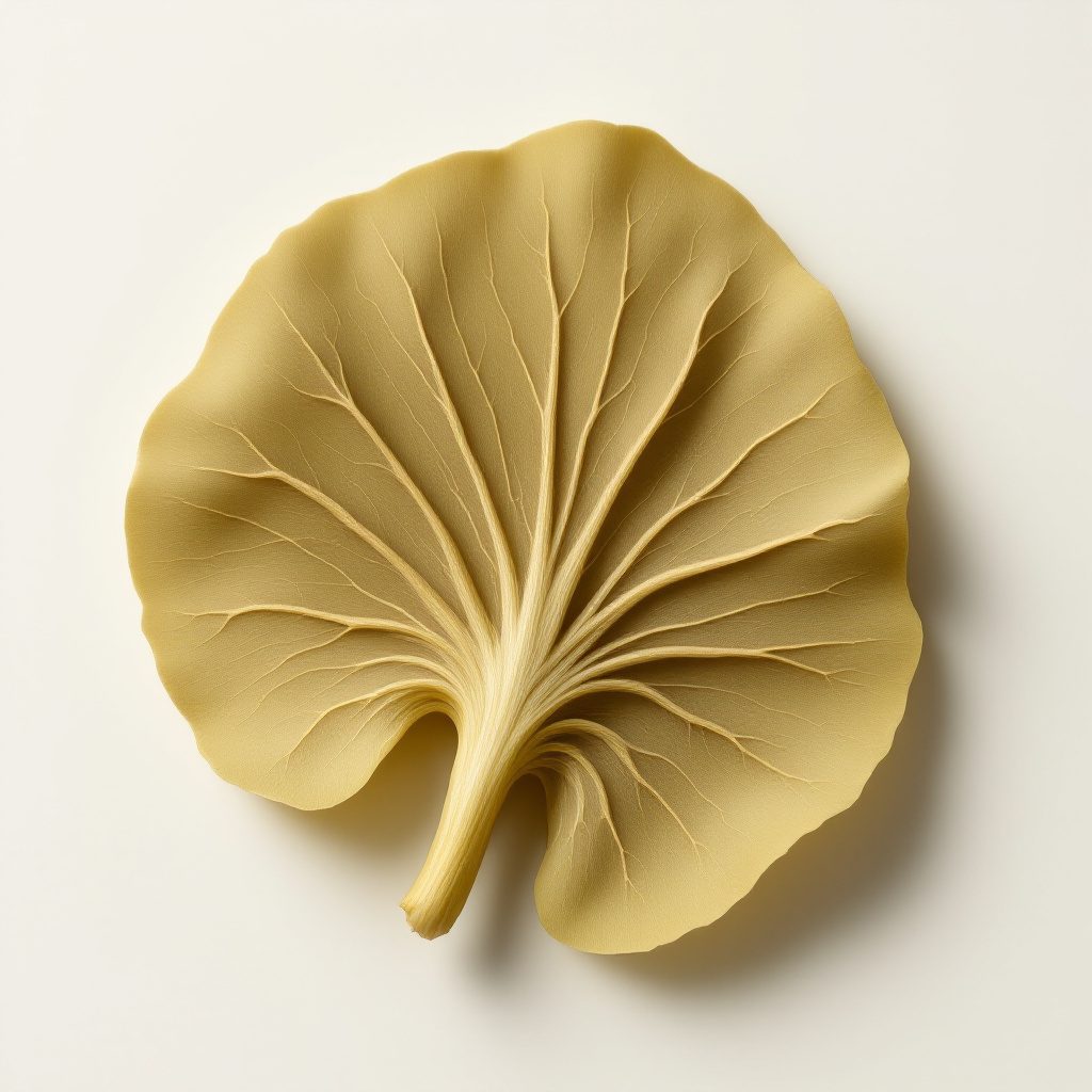 Ginkgo biloba blad