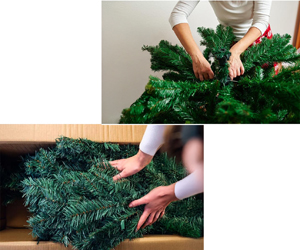 Christmas Tree a 69,99€ packshot