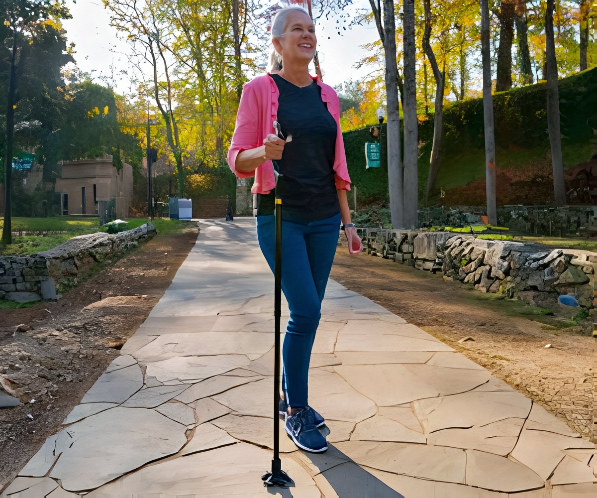Wellpro Walking Stick a 49,99€ packshot