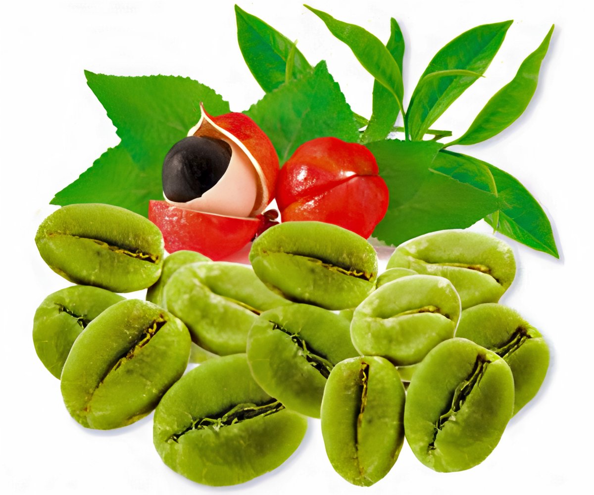 RXB Super Fat Reducer a 39,99€ packshot