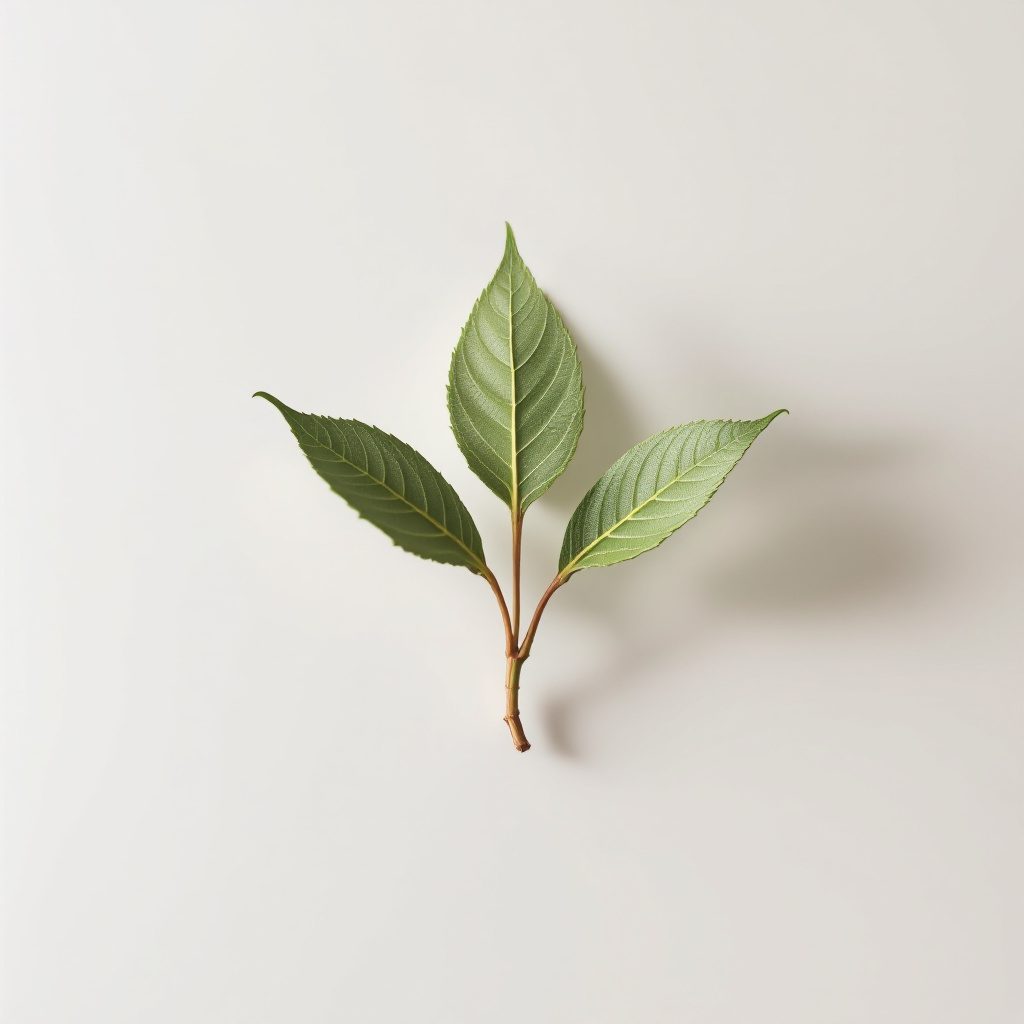 MSM (metilsulfonilmetan)