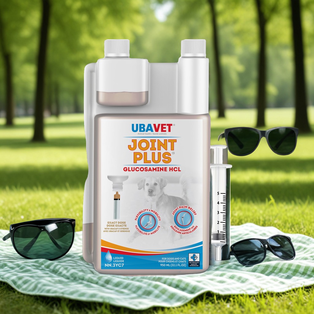Product packshot