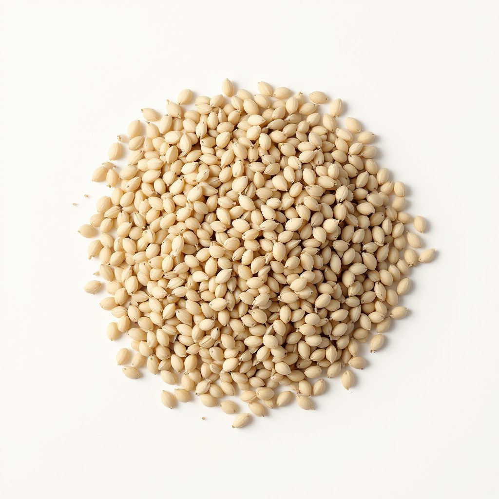 Fennel seed ingredient