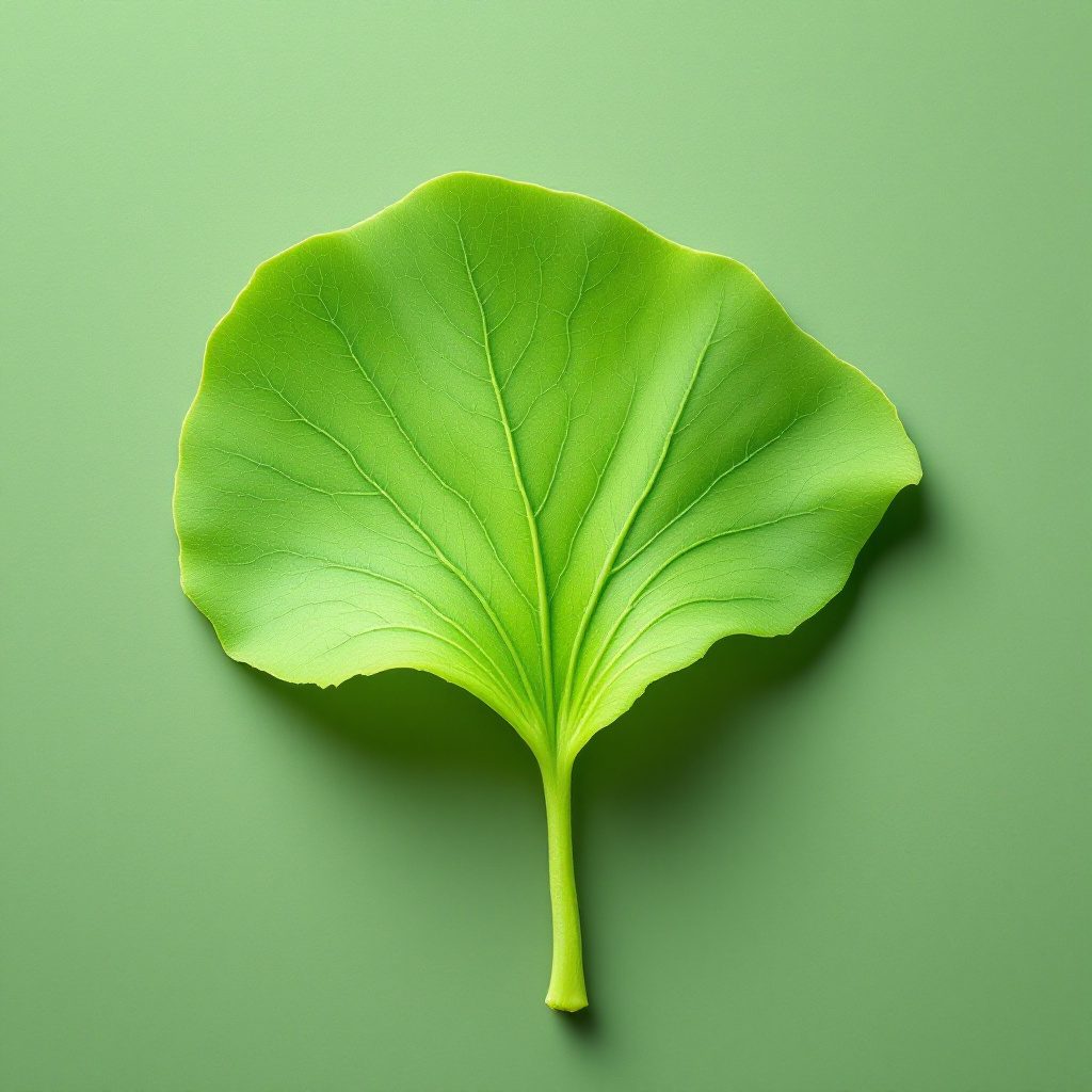 Ginkgo Biloba leaf