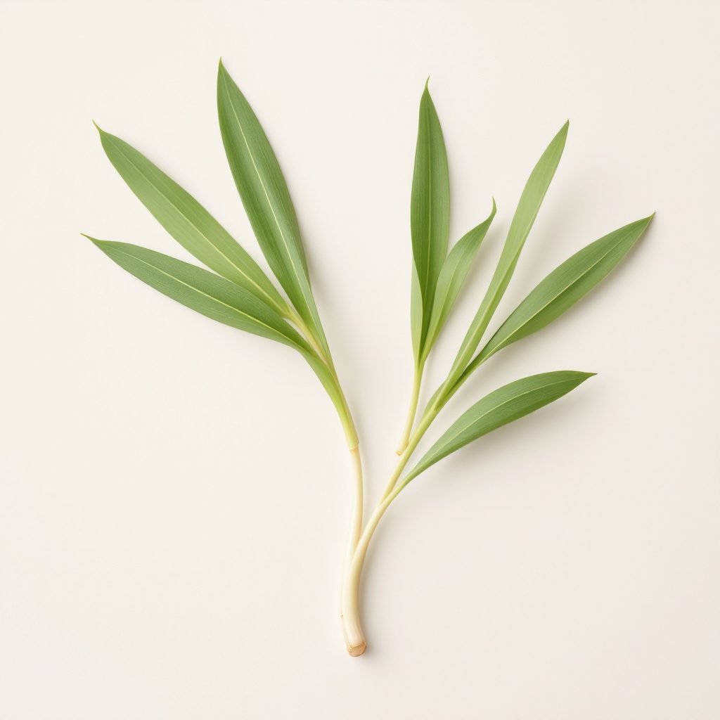Lemongrass oil ingredient