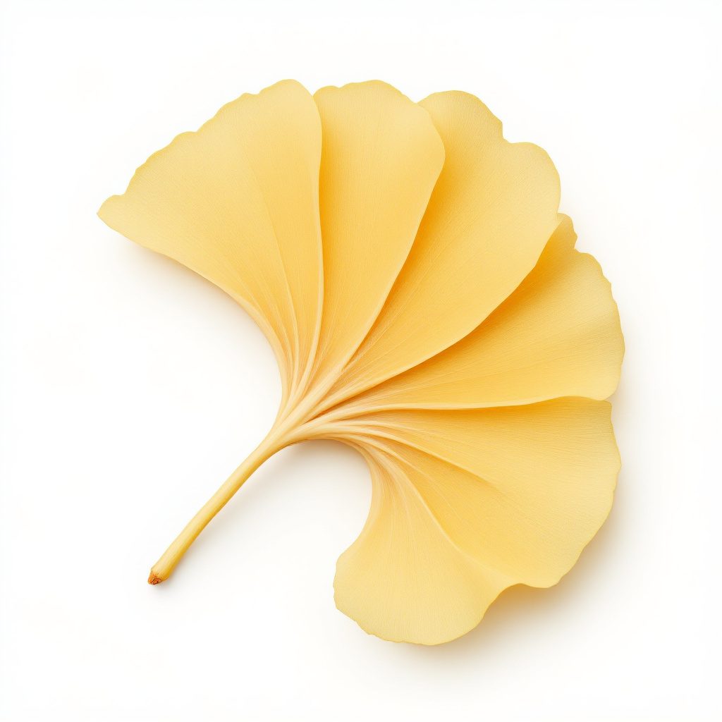 Ginkgo Biloba