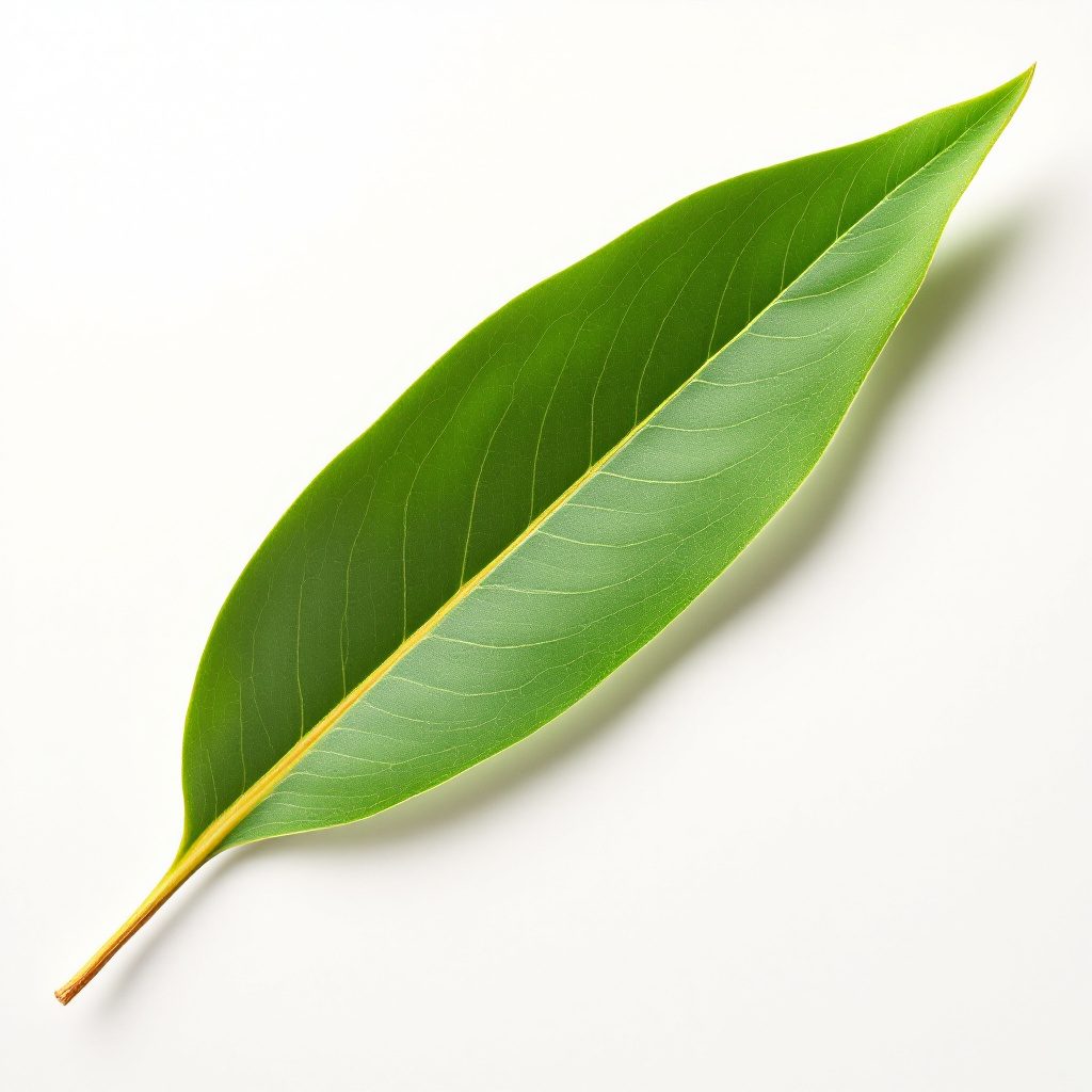 Aceite de germen de trigo