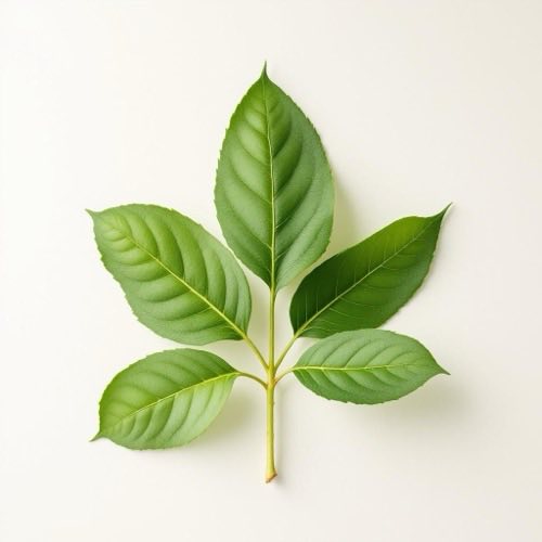 Bioflavonoides cítricos