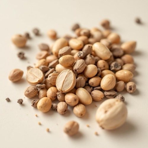 Castaño de Indias semillas