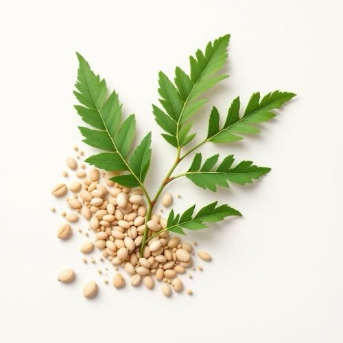 Corteza de árbol de neem