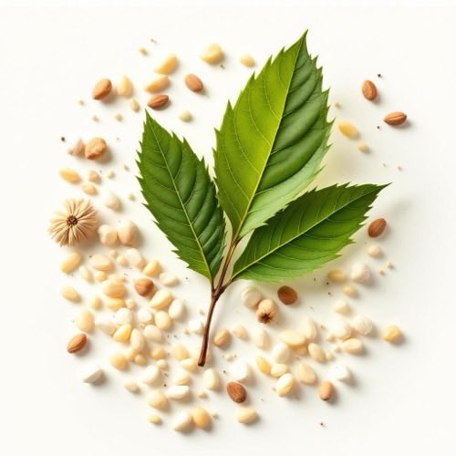 Cristales de gluconato de calcio en polvo blanco