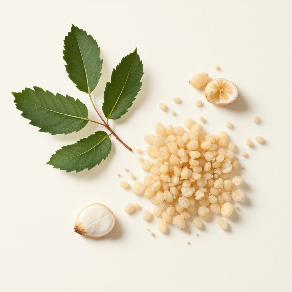 Glicerina