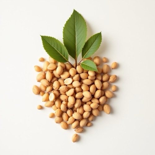 Nastavitelné popruhy pro uchycení masážního přístroje