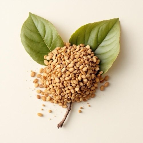 Brennnesselblätter frisch und getrocknet