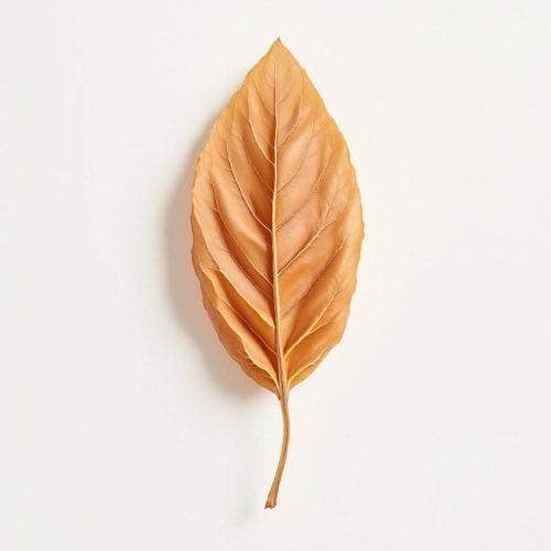 Collagen protein structure