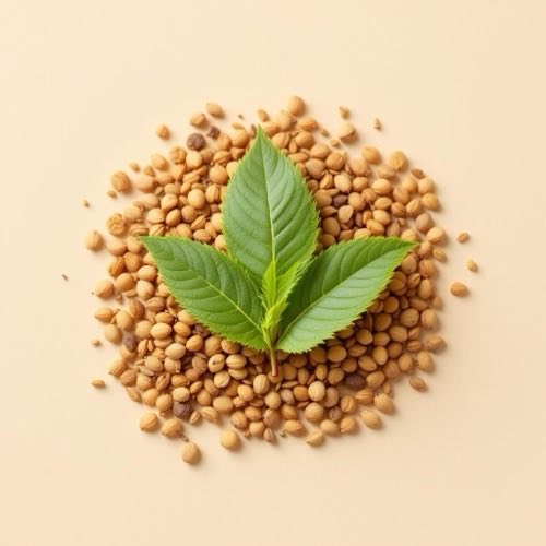 Frische grüne Teeblätter auf hellem Hintergrund