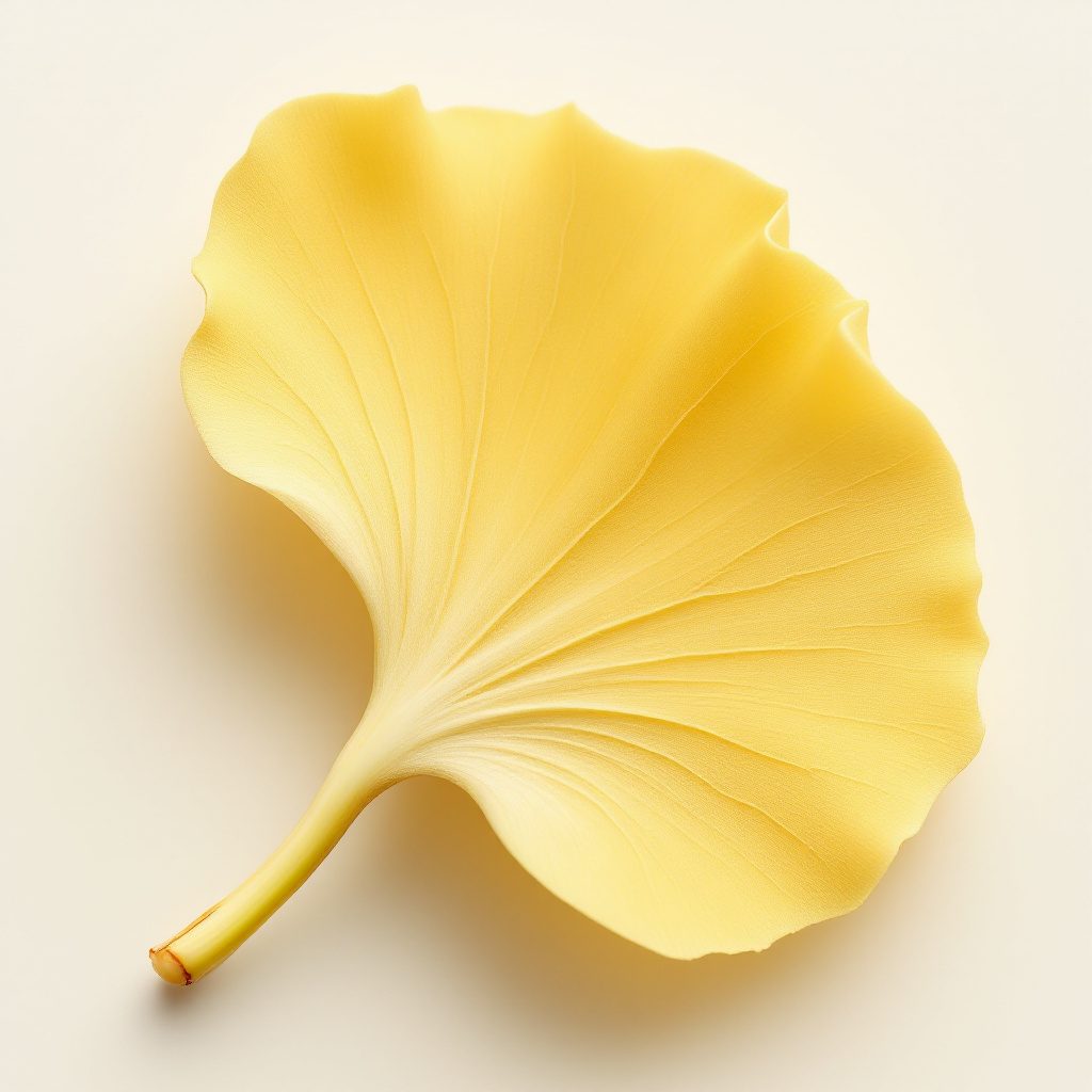 Ginkgo biloba