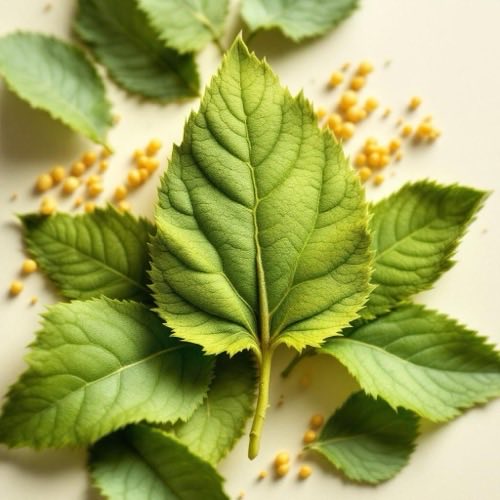 Goldrute-Pflanze natürlicher Hintergrund