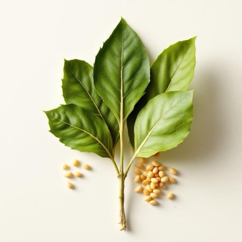 Goldrutenkraut in der Natur