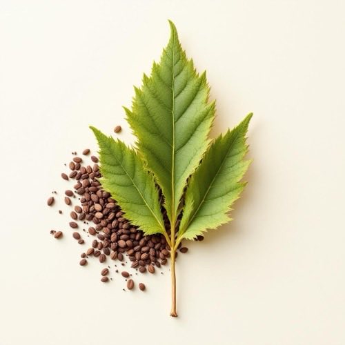 Screenshot-Werkzeug Symbol