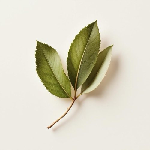 Zink mineralische Darstellung