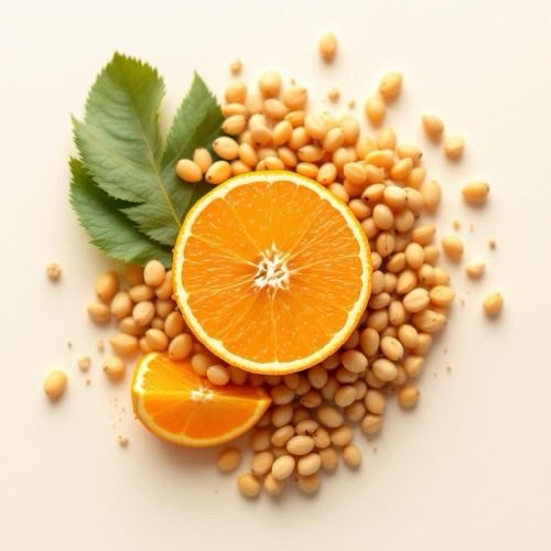 Zitrusfrüchte mit natürlichem Vitamin C