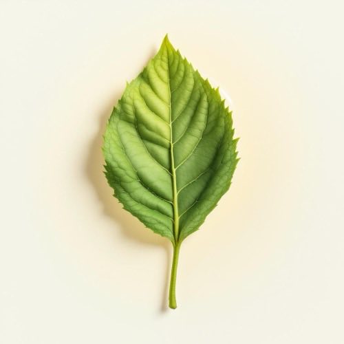 Glicerina vegetal en representación natural