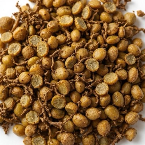 Raíz de harpagophytum procumbens