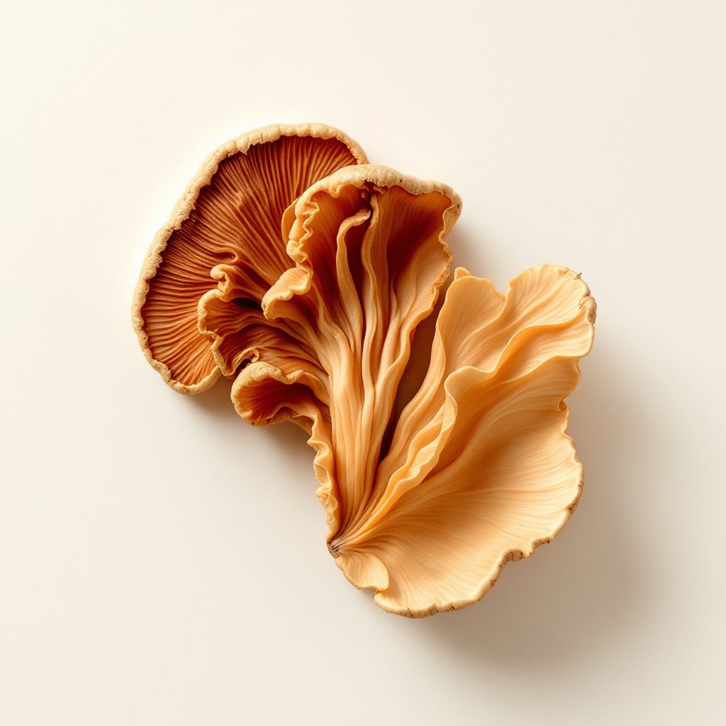 Reishi (Ganoderma lucidum)