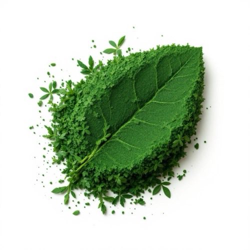 Spirulina alga u prahu