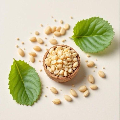 Ekstrakt z drzewa herbacianego – liście na neutralnym tle