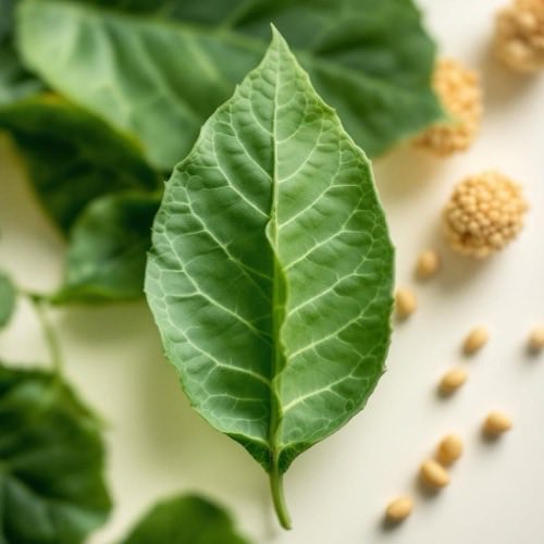 Ergonómikus fogantyú kialakítás